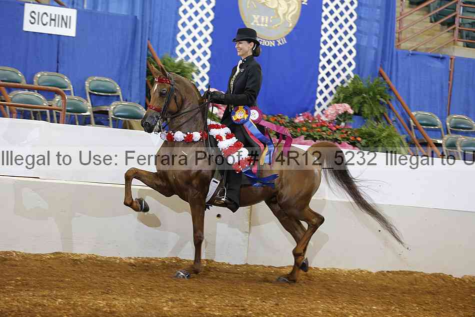 Proof Number 14r12_5232
