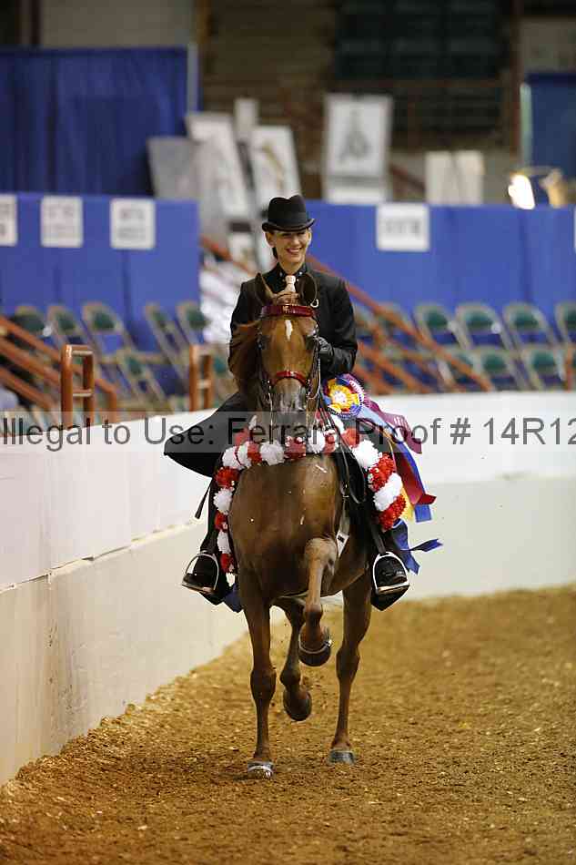 Proof Number 14r12_5236