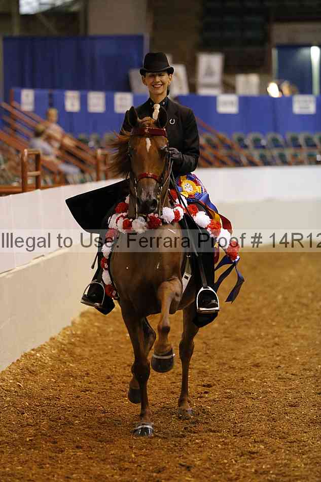 Proof Number 14r12_5237