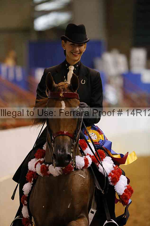 Proof Number 14r12_5238
