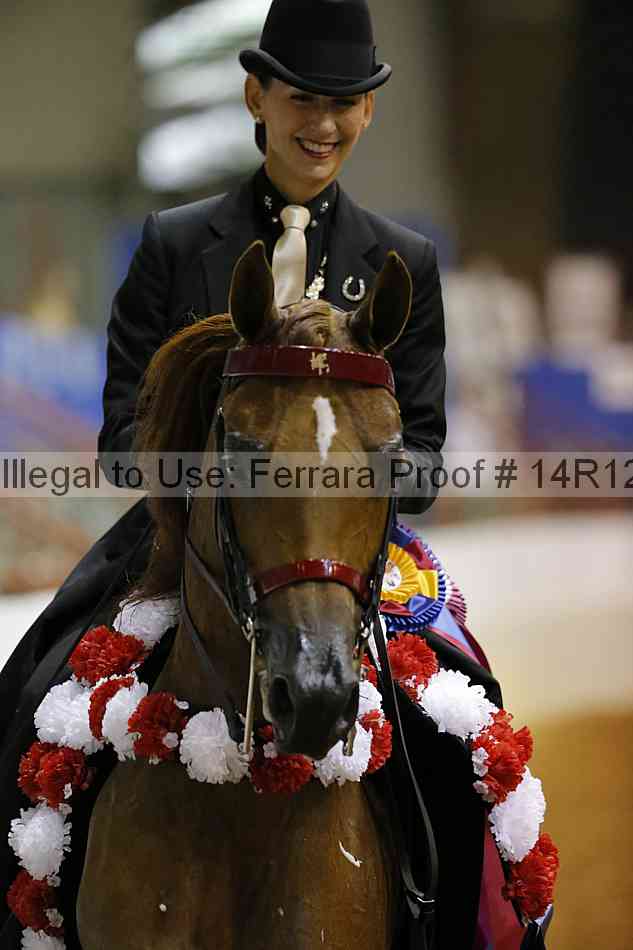 Proof Number 14r12_5239