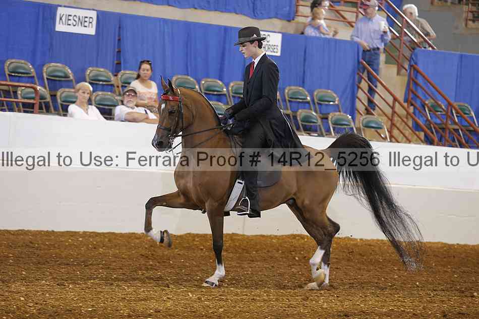Proof Number 14r12_5256