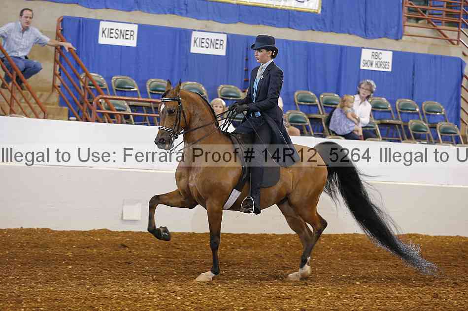 Proof Number 14r12_5264