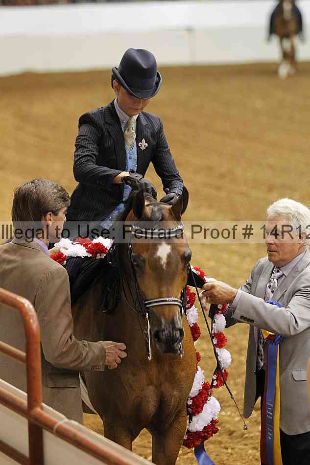 Proof Number 14r12_5278