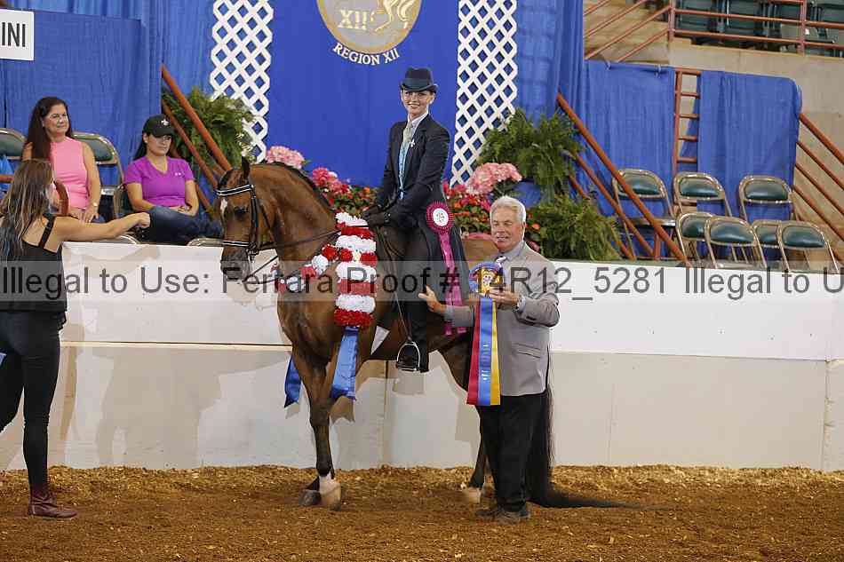 Proof Number 14r12_5281