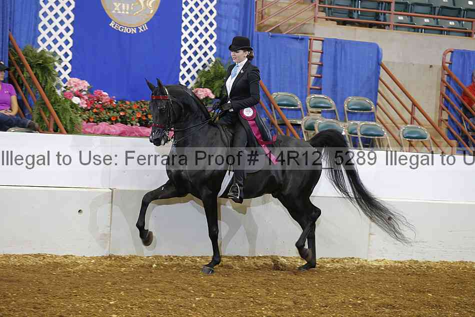 Proof Number 14r12_5289