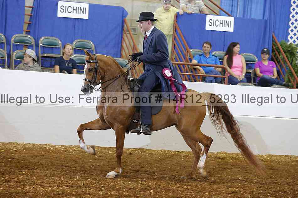 Proof Number 14r12_5293