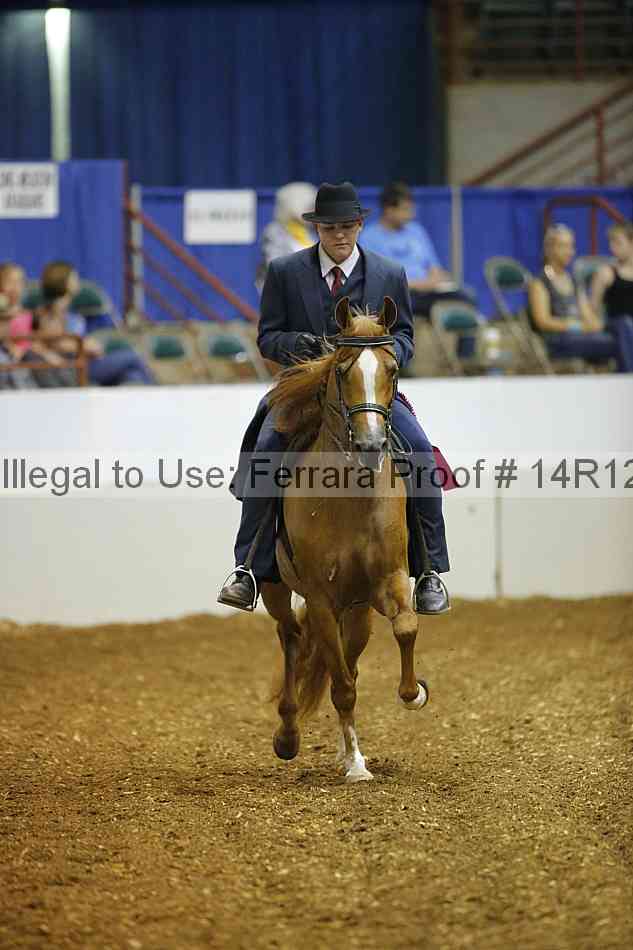 Proof Number 14r12_5294