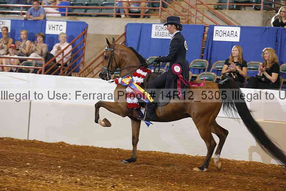 Proof Number 14r12_5305