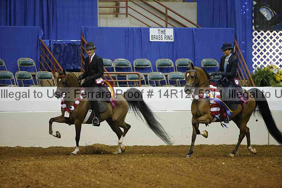 Proof Number 14r12_5311
