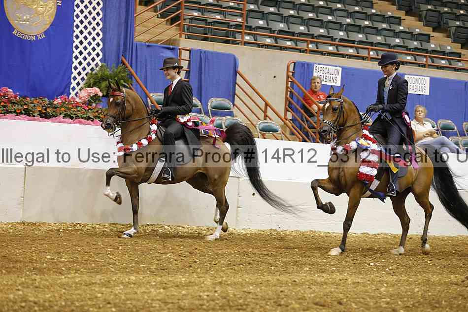 Proof Number 14r12_5312
