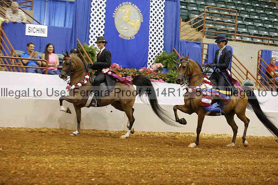 Proof Number 14r12_5313