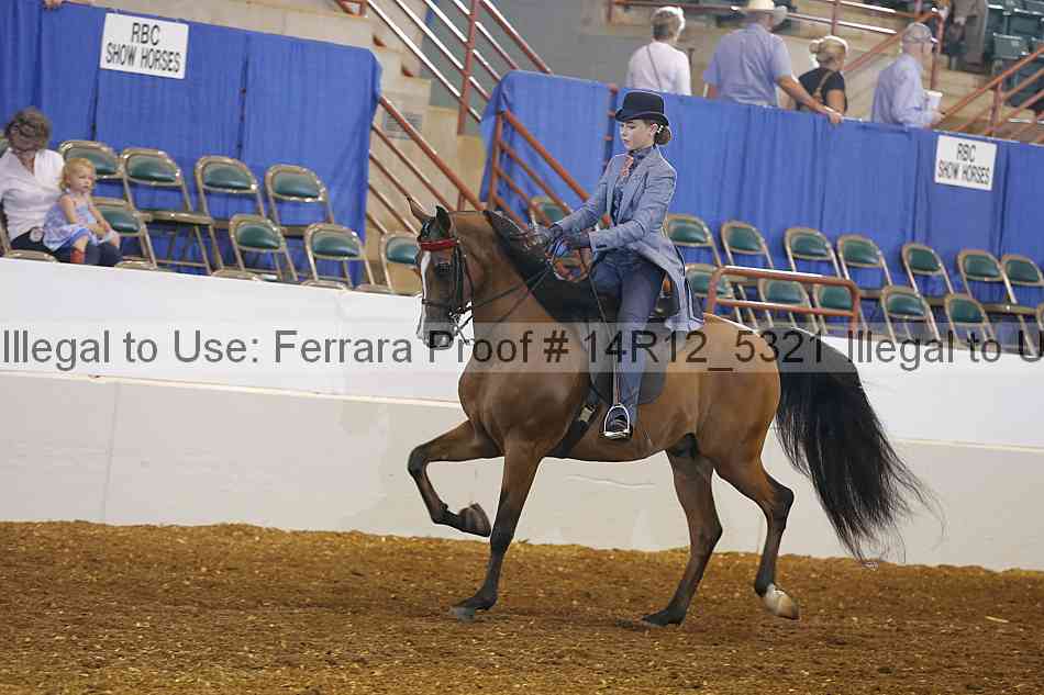 Proof Number 14r12_5321