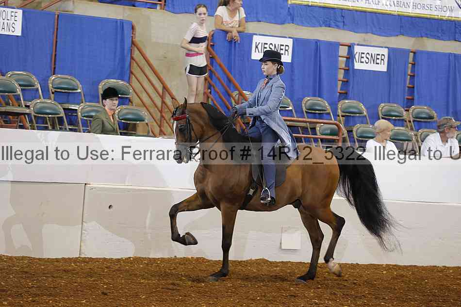 Proof Number 14r12_5322