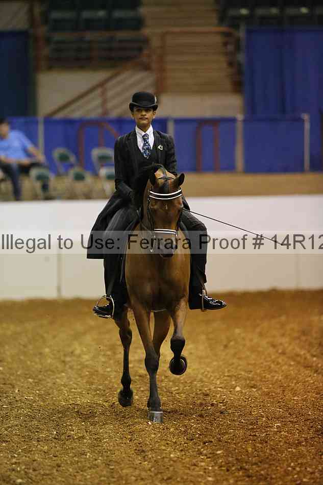 Proof Number 14r12_5325