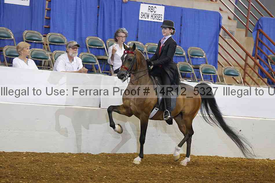 Proof Number 14r12_5327