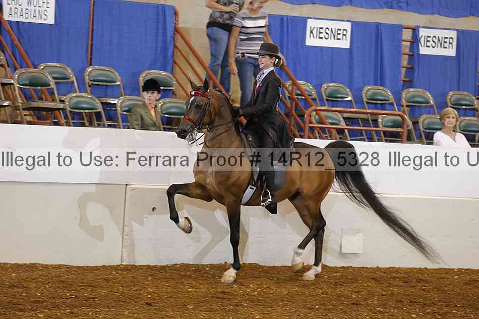 Proof Number 14r12_5328