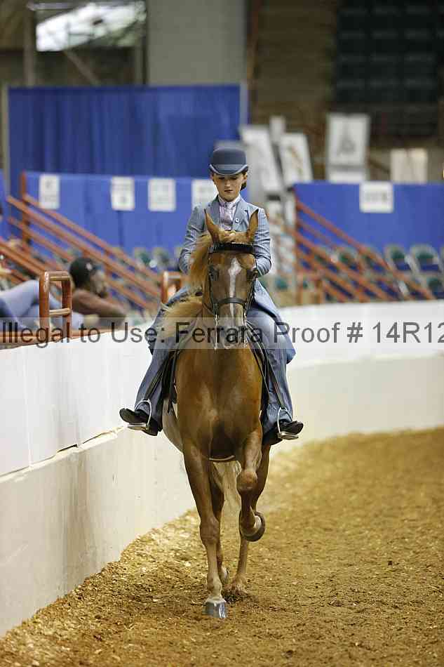 Proof Number 14r12_5329