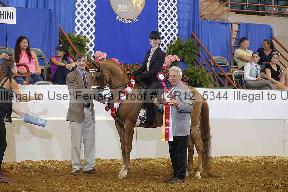 Proof Number 14r12_5344