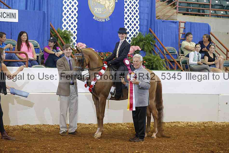 Proof Number 14r12_5345