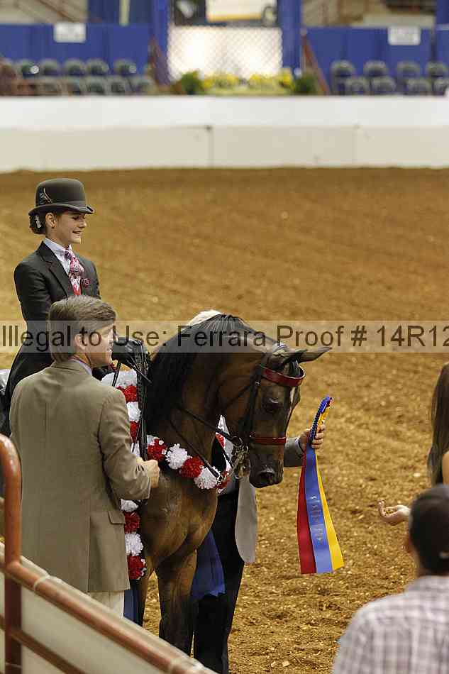 Proof Number 14r12_5353