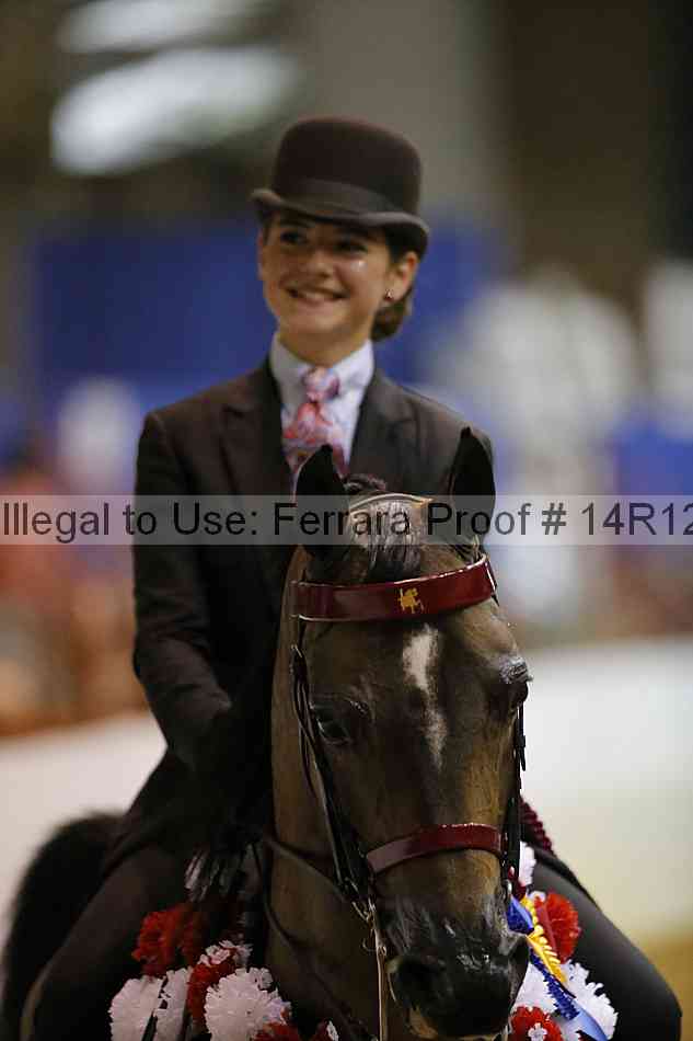 Proof Number 14r12_5364