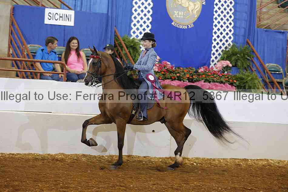 Proof Number 14r12_5367