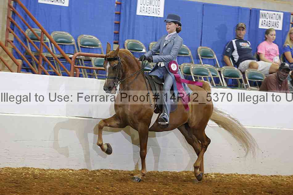 Proof Number 14r12_5370