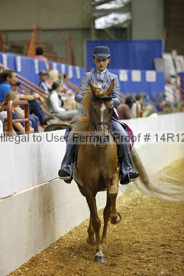 Proof Number 14r12_5374