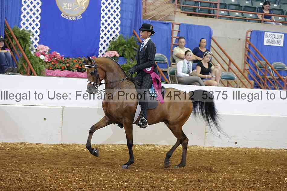 Proof Number 14r12_5375