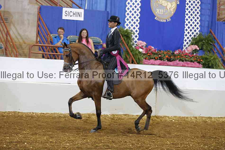 Proof Number 14r12_5376