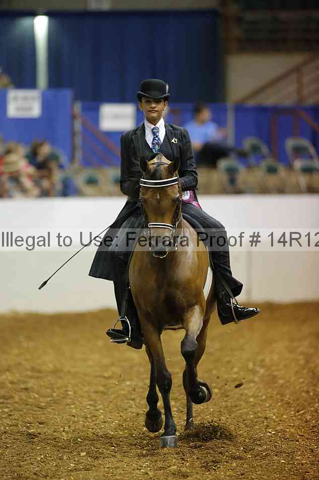 Proof Number 14r12_5377