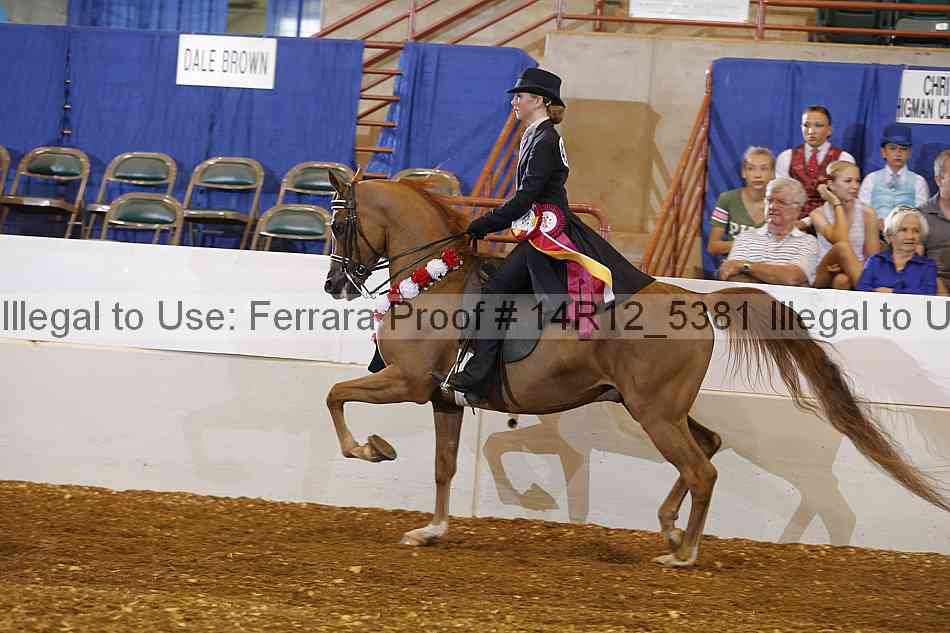 Proof Number 14r12_5381