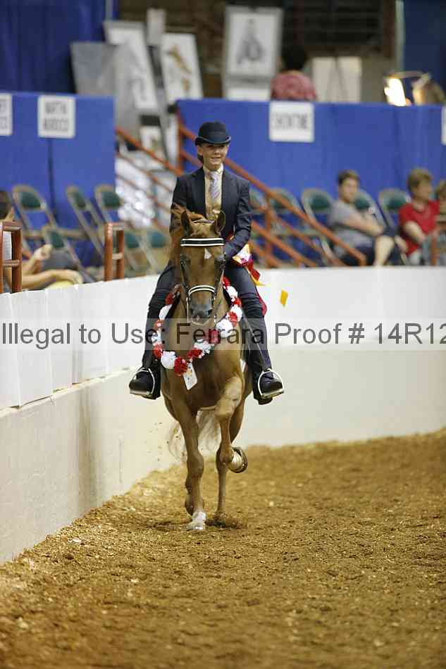 Proof Number 14r12_5382