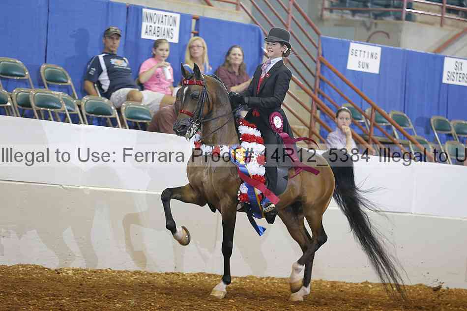 Proof Number 14r12_5384