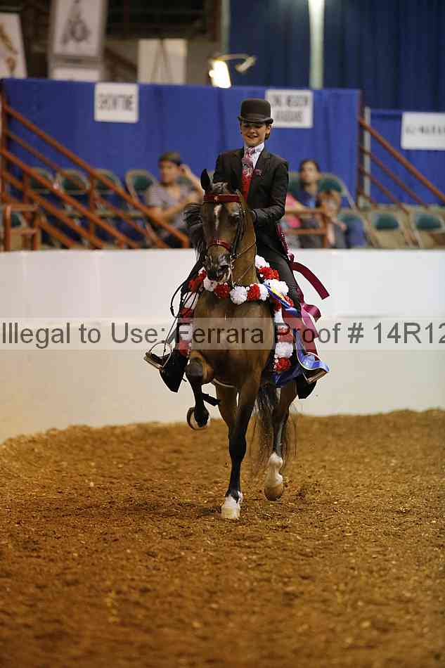 Proof Number 14r12_5387