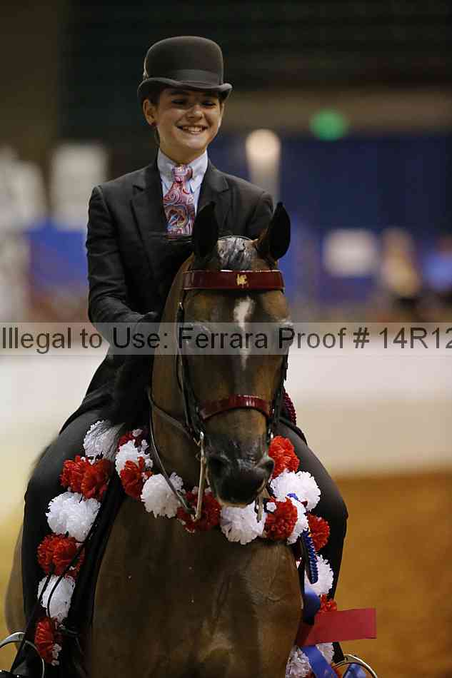 Proof Number 14r12_5391