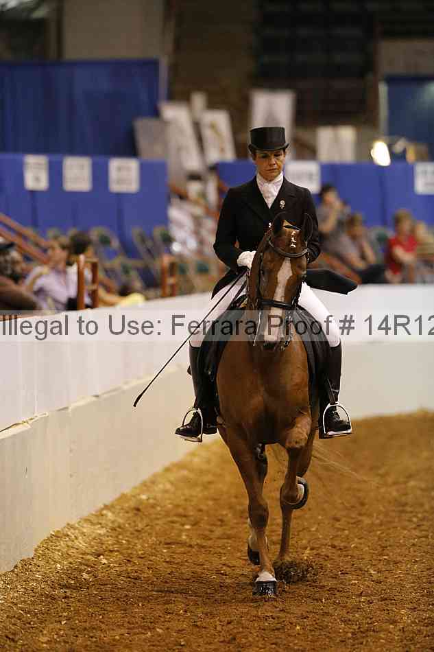 Proof Number 14r12_5396