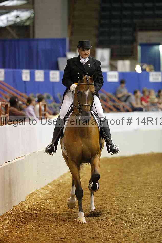 Proof Number 14r12_5401