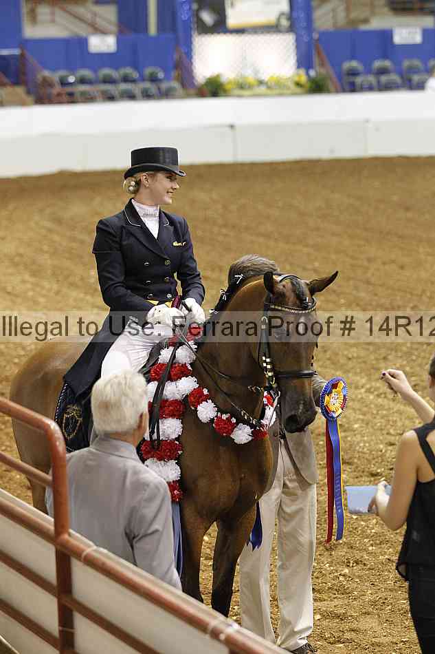 Proof Number 14r12_5414