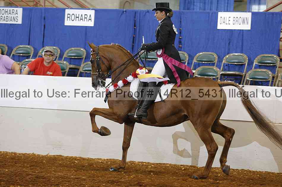 Proof Number 14r12_5431