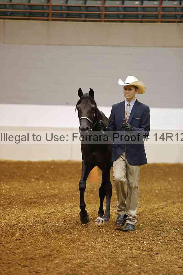 Proof Number 14r12_5474