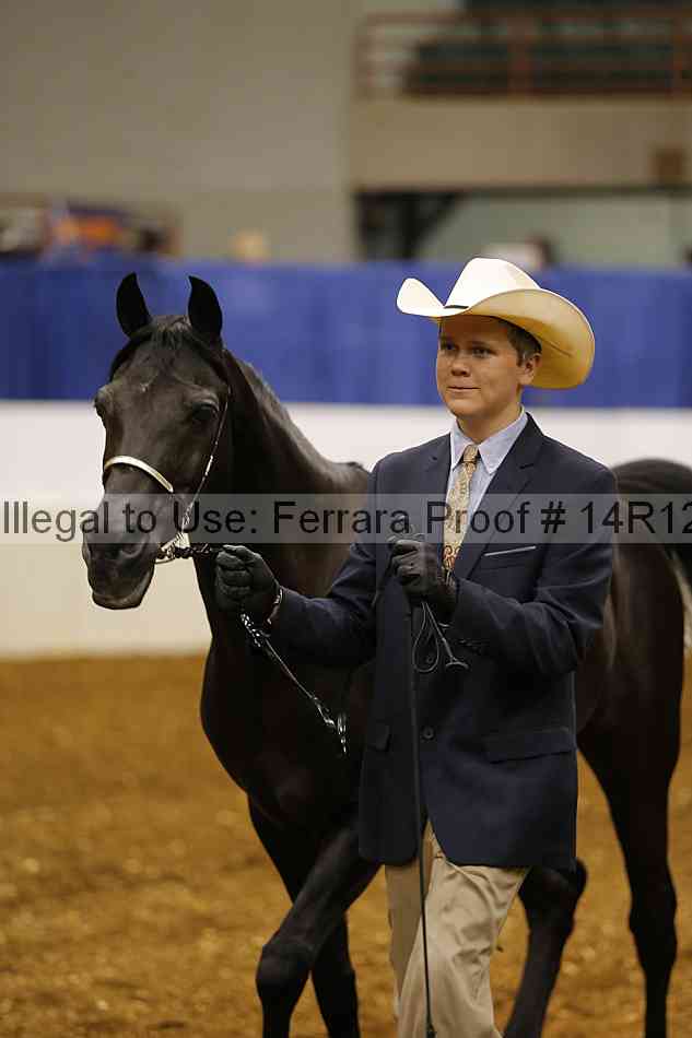 Proof Number 14r12_5476