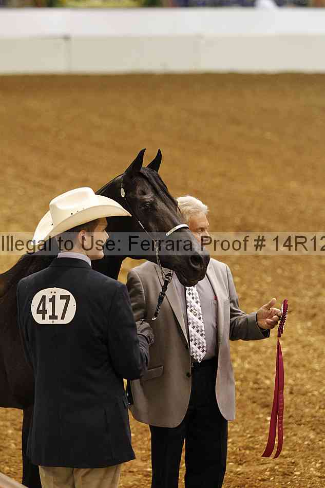 Proof Number 14r12_5502