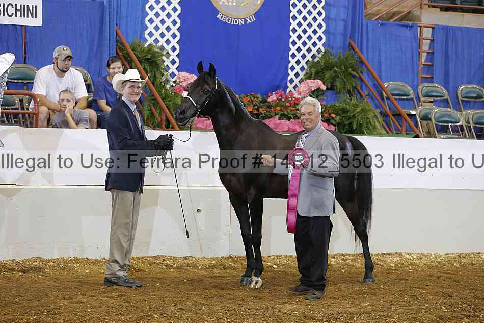 Proof Number 14r12_5503