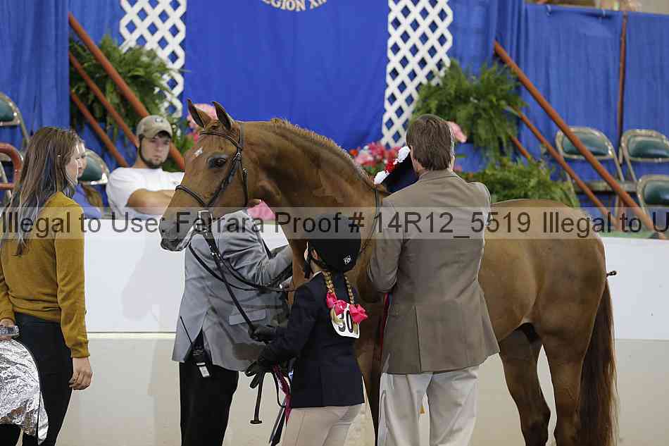 Proof Number 14r12_5519