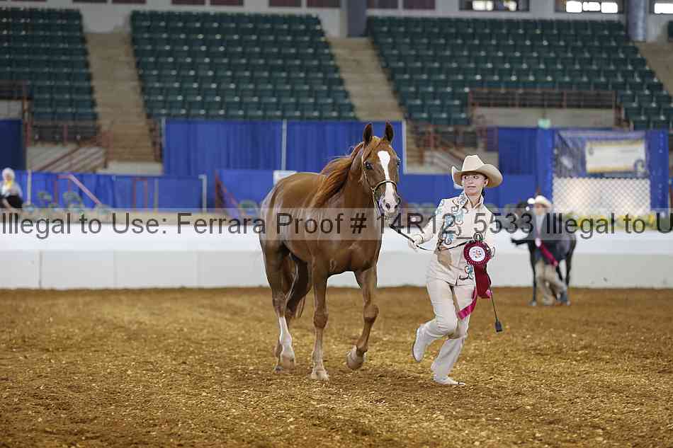 Proof Number 14r12_5533