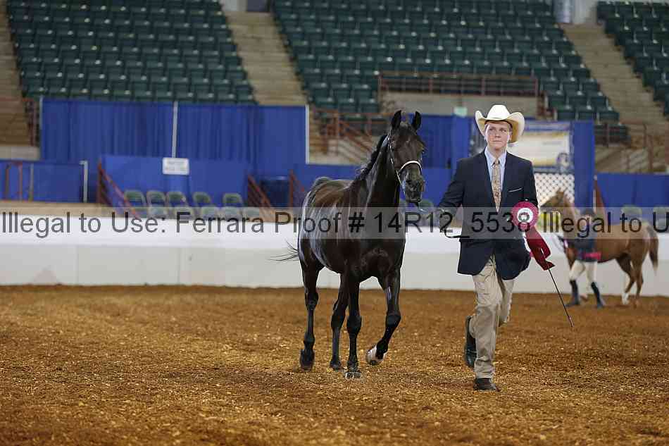 Proof Number 14r12_5538