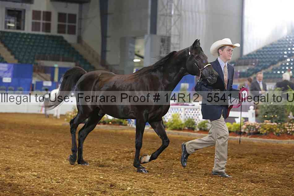 Proof Number 14r12_5541
