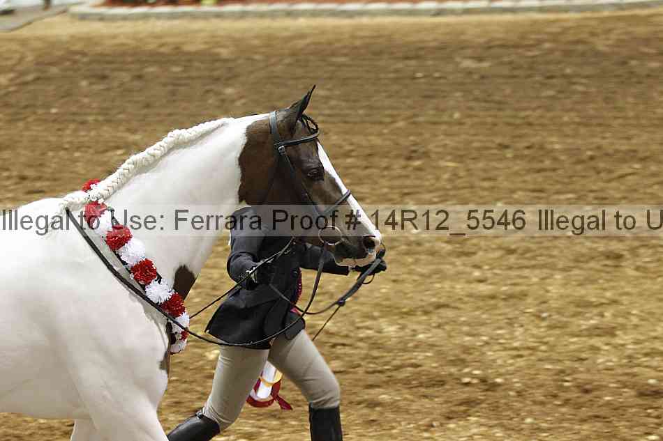 Proof Number 14r12_5546